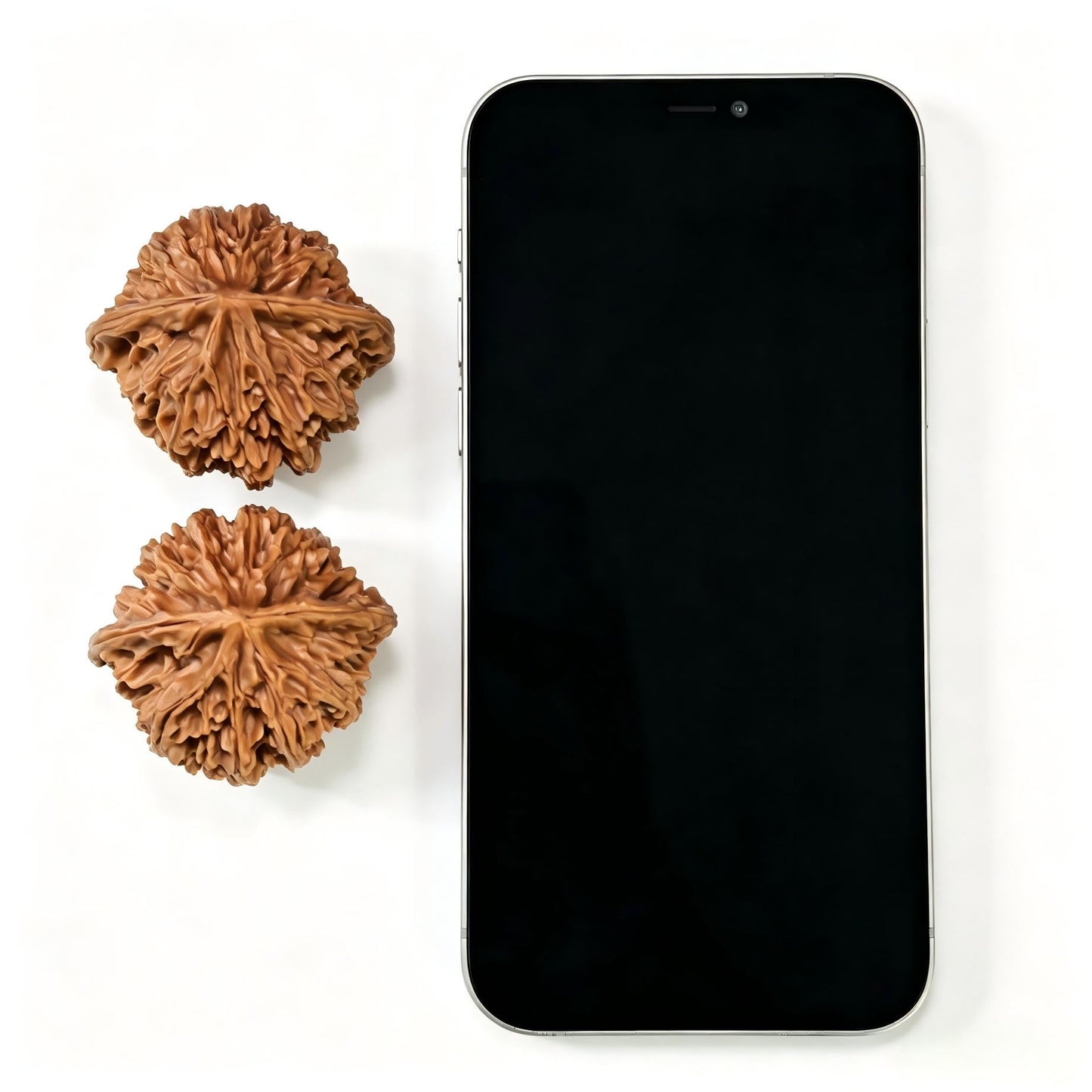 "Peach-Heart Concave Base Nanjiangshi" Taoxin Aodi Nanjiangshi Low-Profile Wenwan Walnuts Pair | 40.0mm x 40.0mm | NJS-1509C - ThePatinaProject