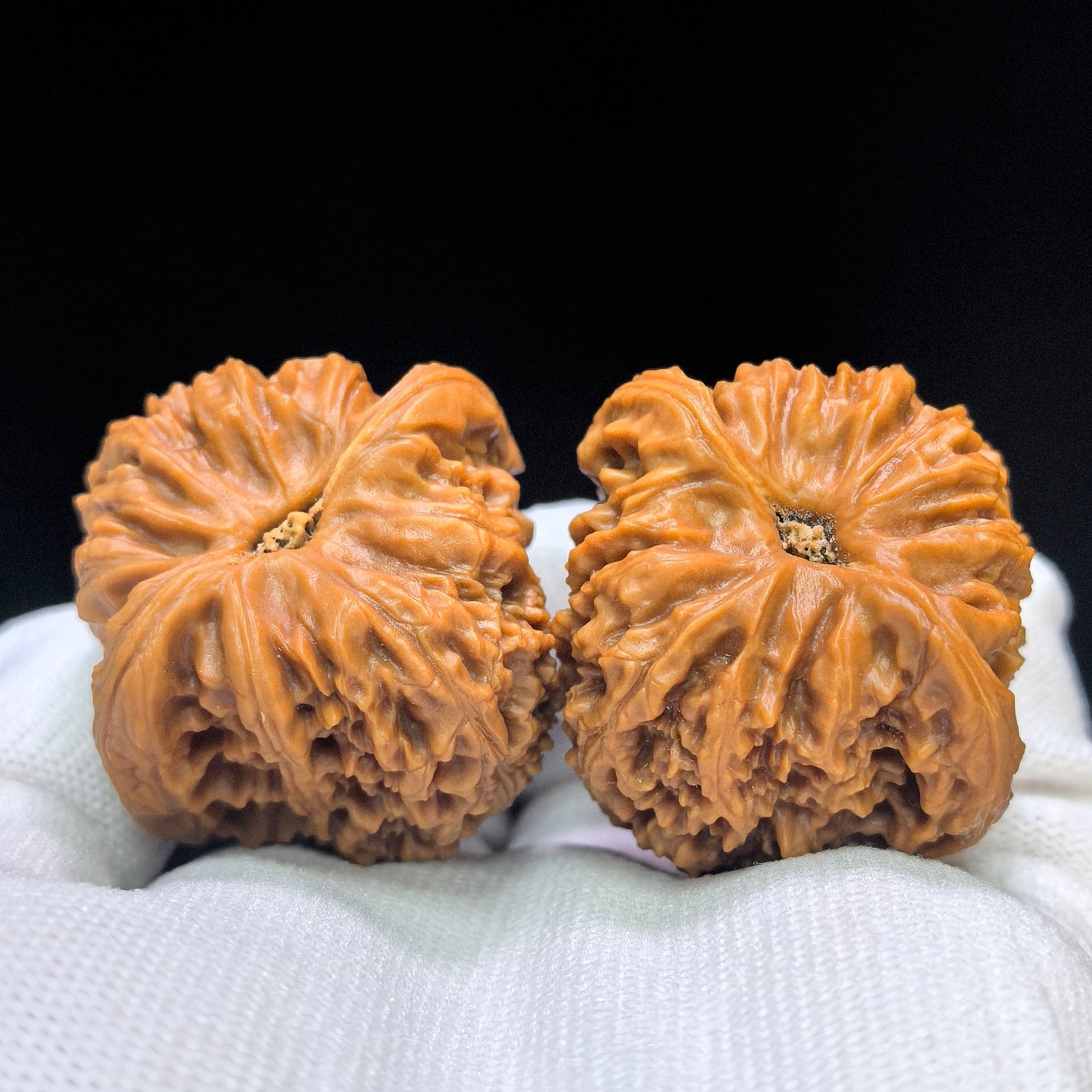"Peach-Heart Concave Base Nanjiangshi" Taoxin Aodi Nanjiangshi Low-Profile Wenwan Walnuts Pair | 40.0mm x 40.0mm | NJS-1509C - ThePatinaProject