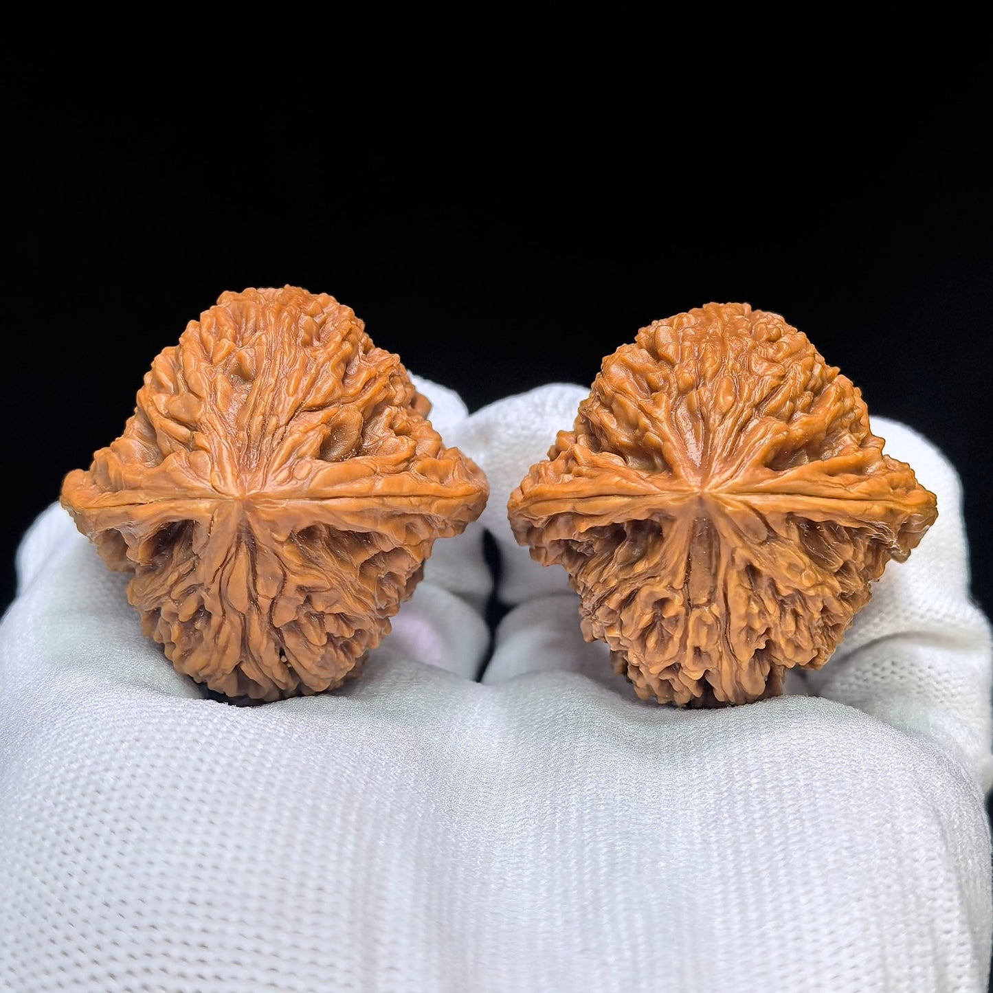 "Peach-Heart Concave Base Nanjiangshi" Taoxin Aodi Nanjiangshi Low-Profile Wenwan Walnuts Pair | 40.0mm x 40.0mm | NJS-1509C - ThePatinaProject