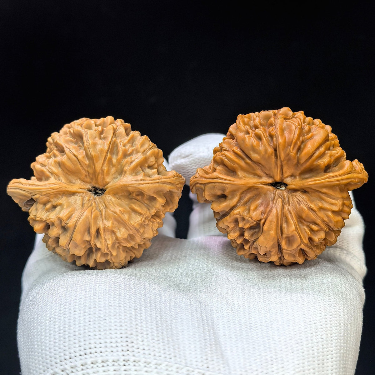 Peach-Heart Concave-Base Qilin Pattern Wenwan Walnut Pair | Bold Sculptural Form | 49.0mm × 43.0mm | TXBDQLW-17E0 - ThePatinaProject