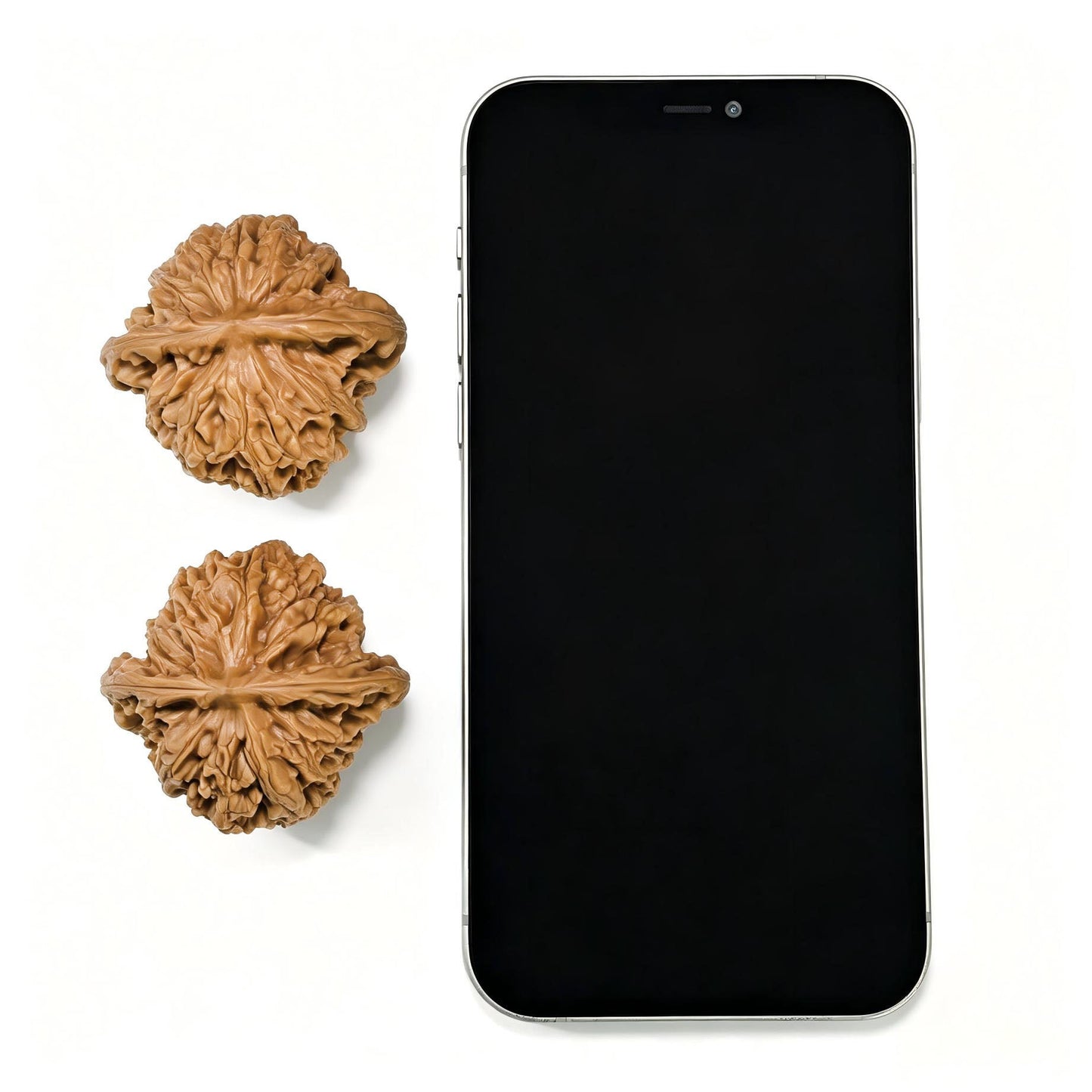 "Peach-Heart Concave Base Rosy Cloud Ridge" Taoxin Aodi Xiayunling Low-Profile Wenwan Walnuts Pair | 46.0mm x 44.0mm | XYL-1504C - ThePatinaProject