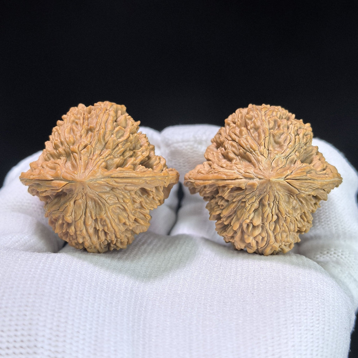 "Peach Heart Concave Base Starry Sky" Mantianxing Wenwan Walnuts Pair | 38.0mm x 37.0mm | MTX-1410 - ThePatinaProject