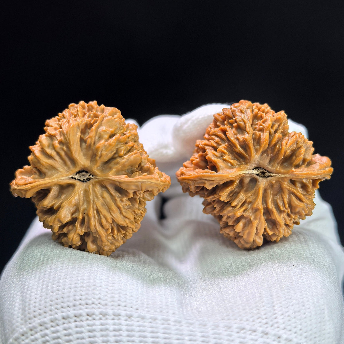 "Peach-Heart Concave Base Starry Sky" Taoxin Aodi Mantianxing Low-Profile Wenwan Walnuts Pair | 38.0mm x 37.0mm | MTX-1404 - ThePatinaProject
