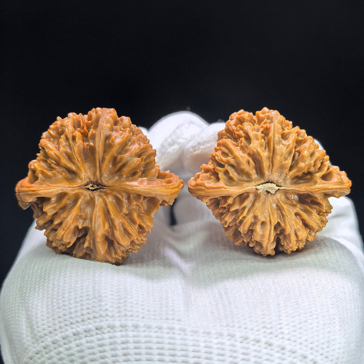 "Peach Heart Concave Base Starry Sky" Taoxin Aodi Mantianxing MTX-1408 Classic Wenwan Walnuts Pair | 39.0mm x 37.0mm | MTX-1408 - ThePatinaProject