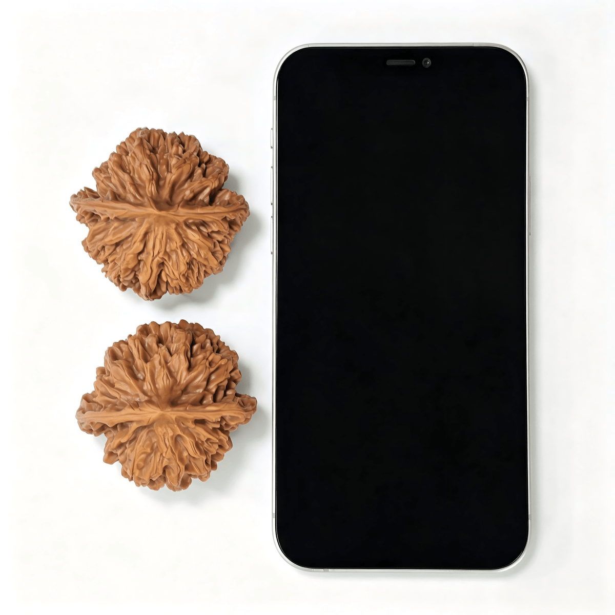 Peach-Heart Emperor Wenwan Walnut Pair — 49.0mm x 47.0mm | S-Grade | SLW-SY1C9 - ThePatinaProject