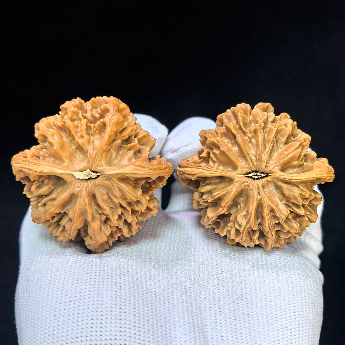 Peach-Heart Emperor Wenwan Walnut Pair — 49.0mm x 47.0mm | S-Grade | SLW-SY1C9 - ThePatinaProject
