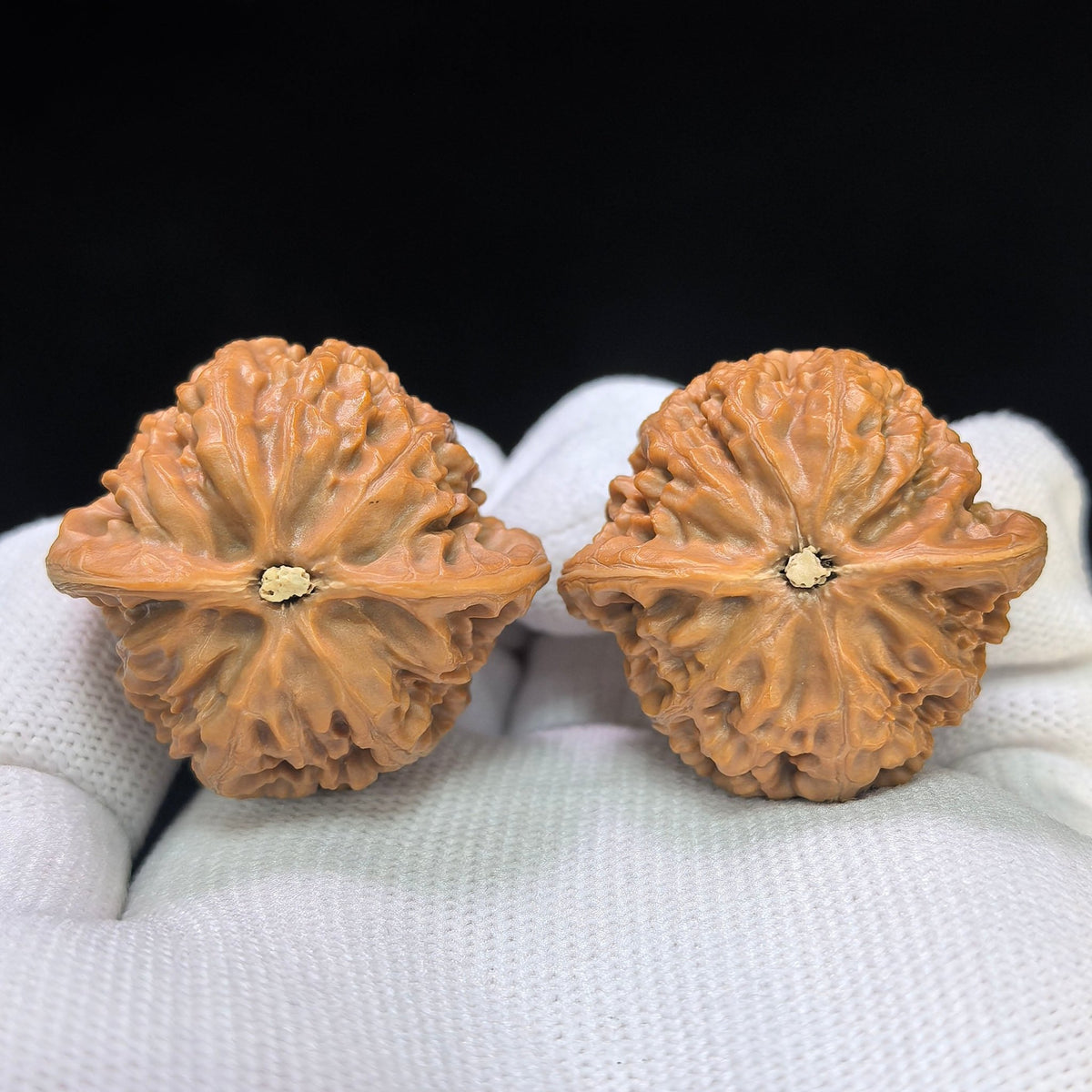 "Peach-Heart Palace Lantern" Taoxin Gongdeng Pocket Low-Profile Wenwan Walnuts Pair | 35.0mm x 35.0mm | GD-SY1B10 - ThePatinaProject