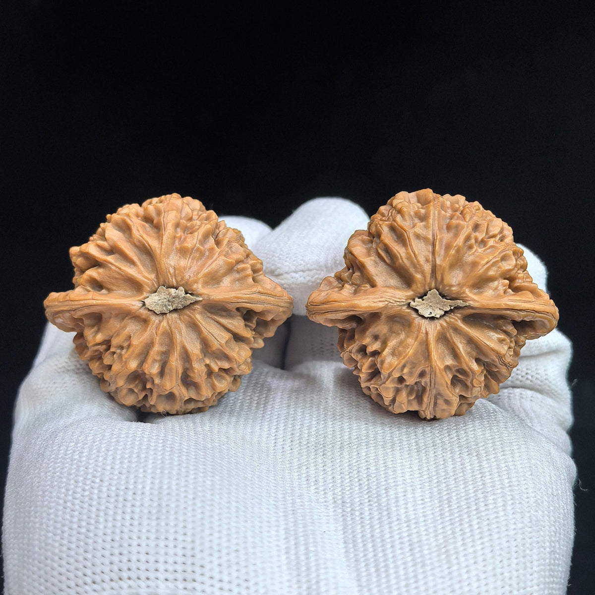 Peach-Heart Palace Lantern Wenwan Walnut Pair | 42.0mm × 38.0mm | TXGD-17A0C - ThePatinaProject