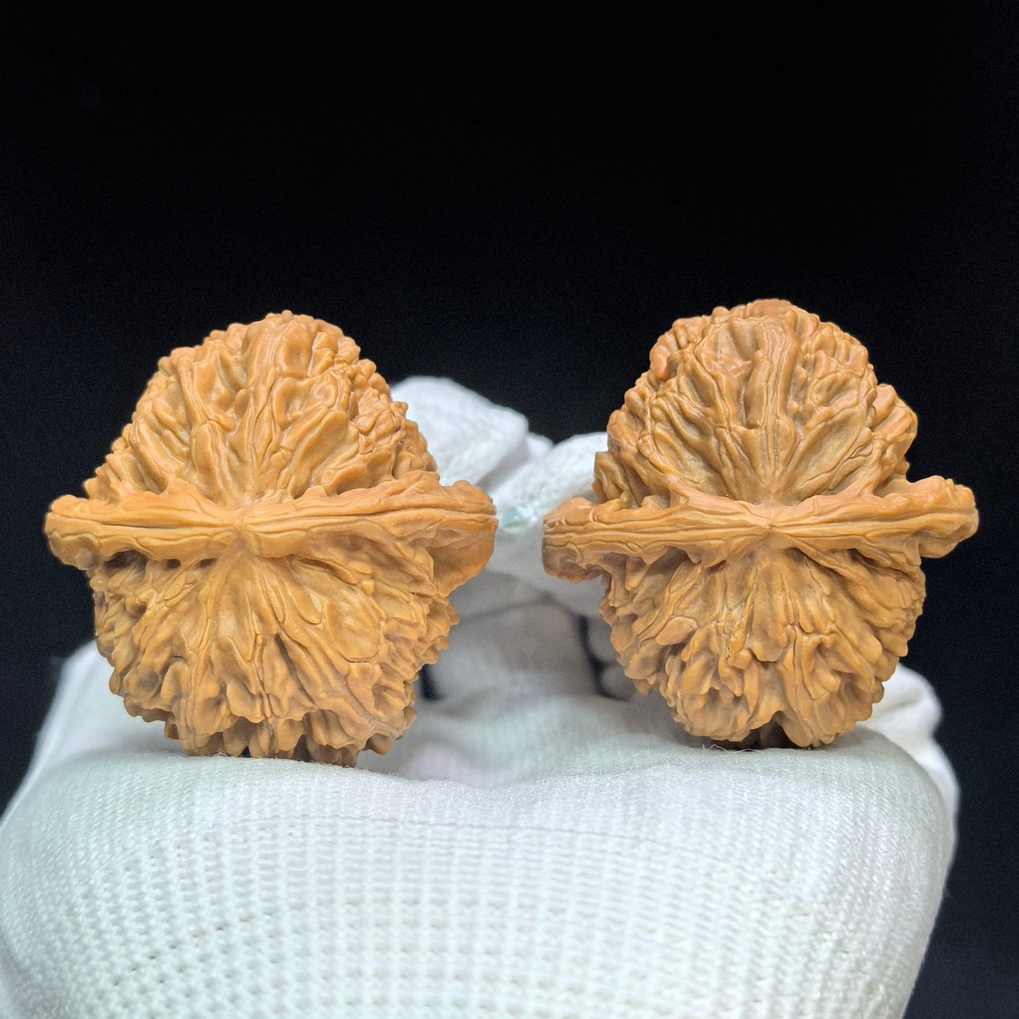 "Peach-Heart White Lion" Taoxin Baishizi Low-Profile Wenwan Walnuts Pair | 40.0mm x 42.0mm | BSJ-1503C - ThePatinaProject