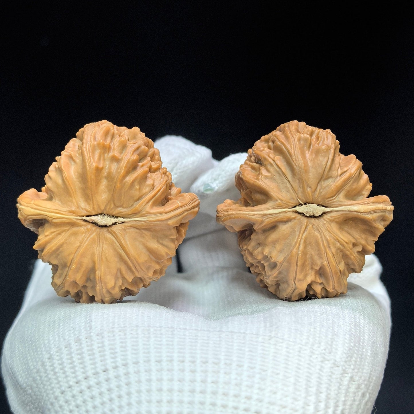 "Peach-Heart White Lion" Taoxin Baishizi Low-Profile Wenwan Walnuts Pair | 40.0mm x 42.0mm | BSJ-1503C - ThePatinaProject