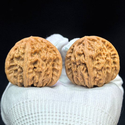 "Peach-Heart White Lion" Taoxin Baishizi Low-Profile Wenwan Walnuts Pair | 40.0mm x 42.0mm | BSJ-1503C - ThePatinaProject