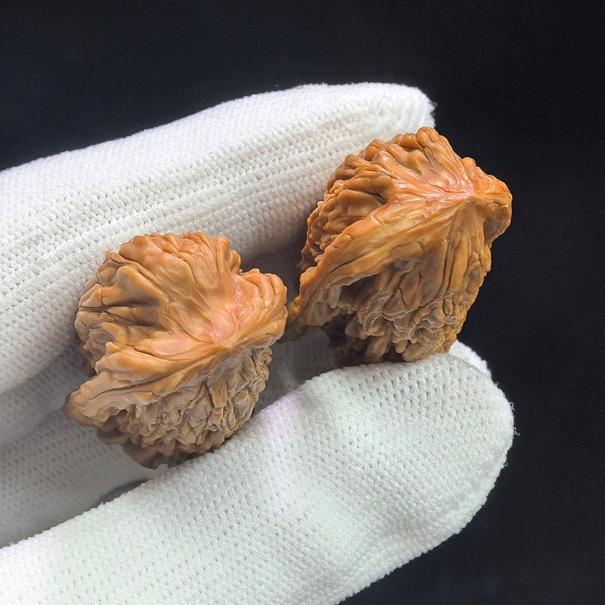 Penguin Gold Bar (Qi’e Jintiao) Scholar Walnut Pair — 22.0mm x 21.0mm | QEJT-CG243E - ThePatinaProject