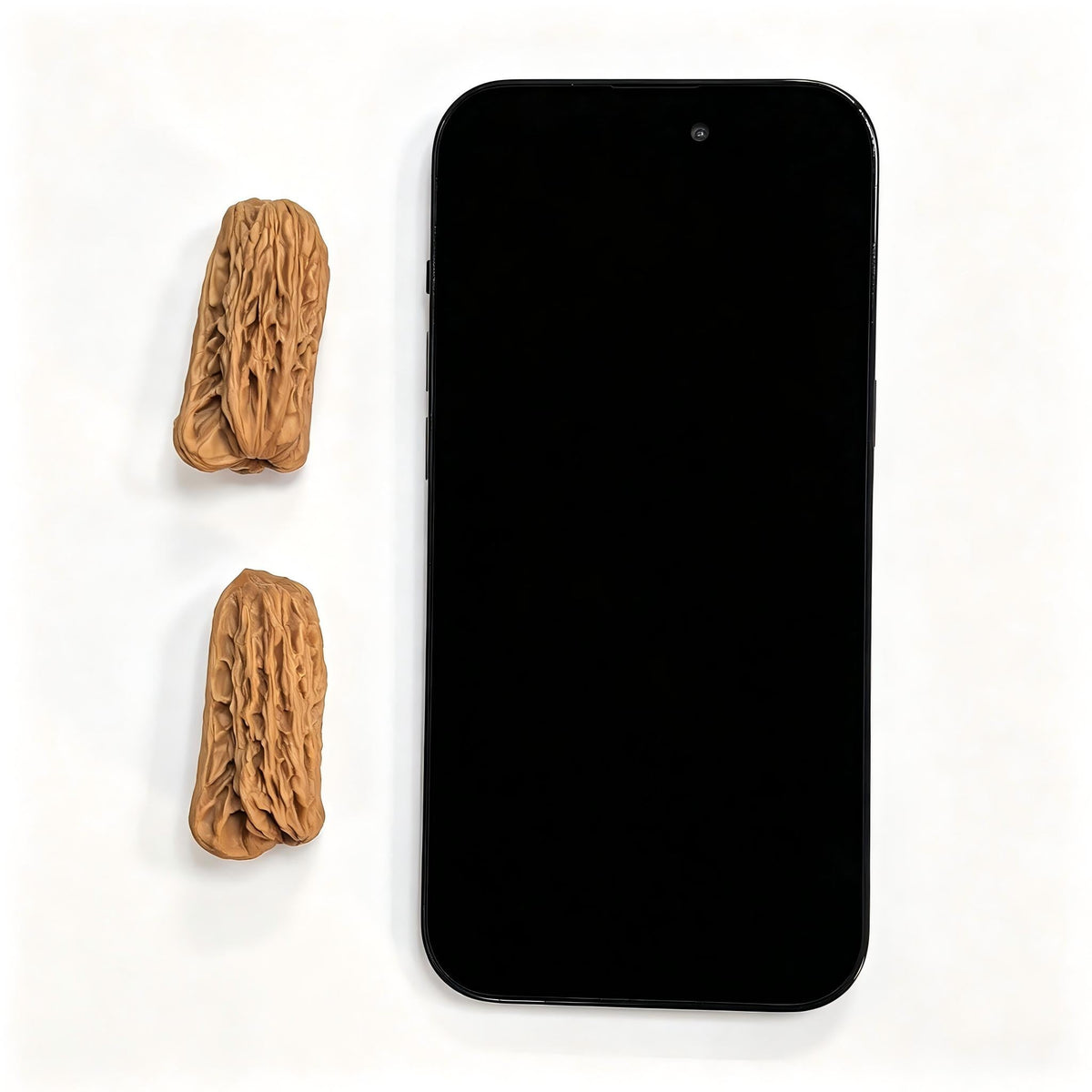 Penguin Gold Bar (Qi’e Jintiao) Scholar Walnut Pair — 22.0mm x 21.0mm | QEJT-CG243E - ThePatinaProject
