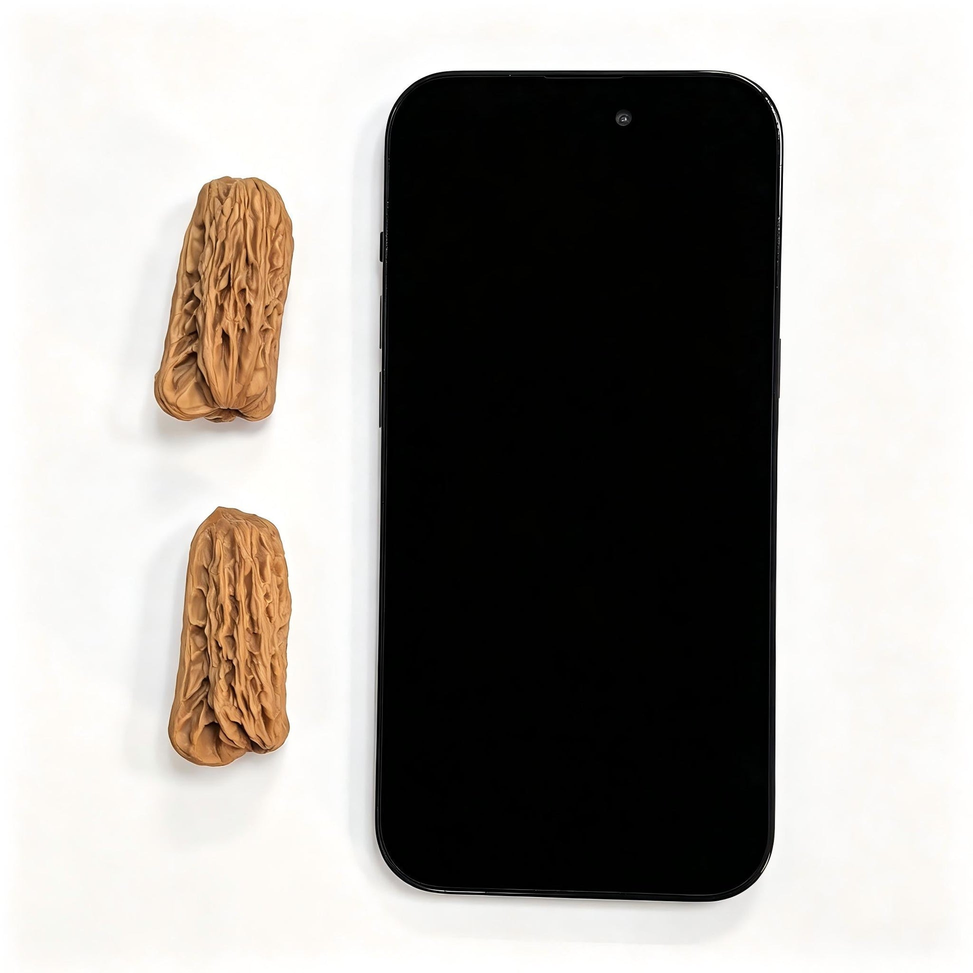 Penguin Gold Bar (Qi’e Jintiao) Scholar Walnut Pair — 22.0mm x 21.0mm | QEJT-CG243E - ThePatinaProject