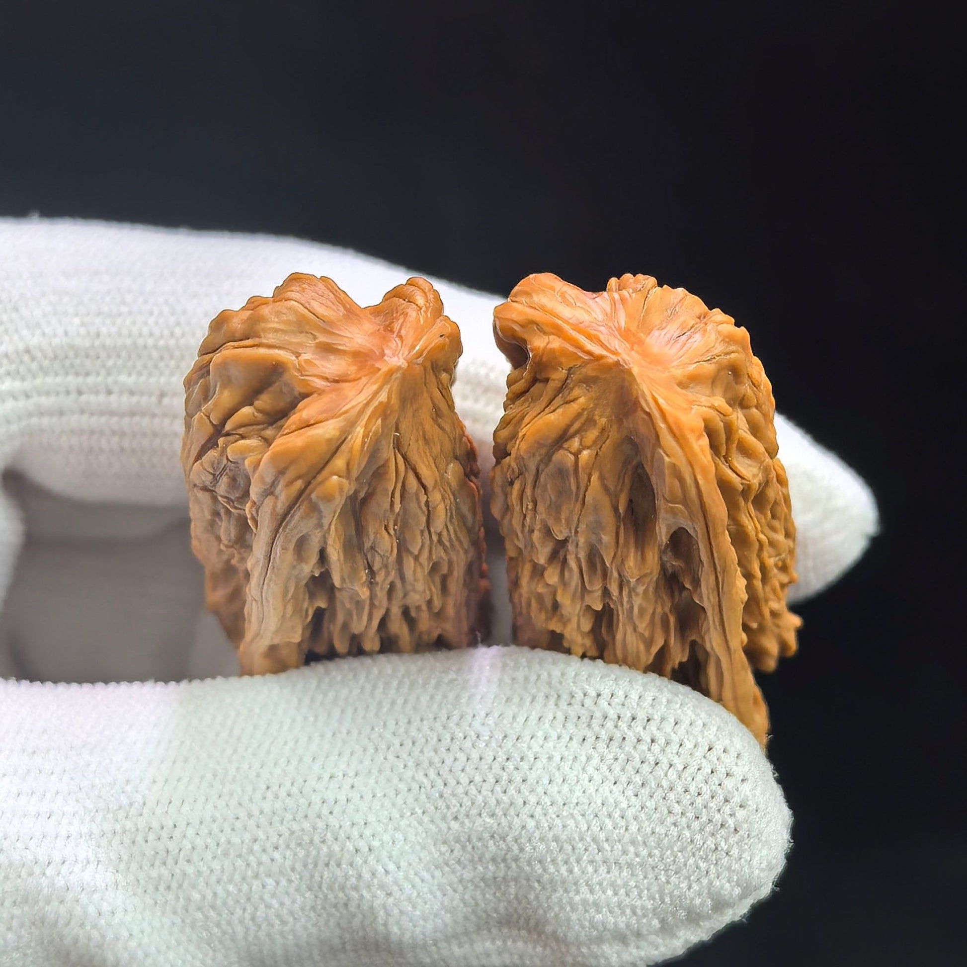 Penguin Gold Bar (Qi’e Jintiao) Scholar Walnut Pair — 22.0mm x 21.0mm | QEJT-CG243E - ThePatinaProject