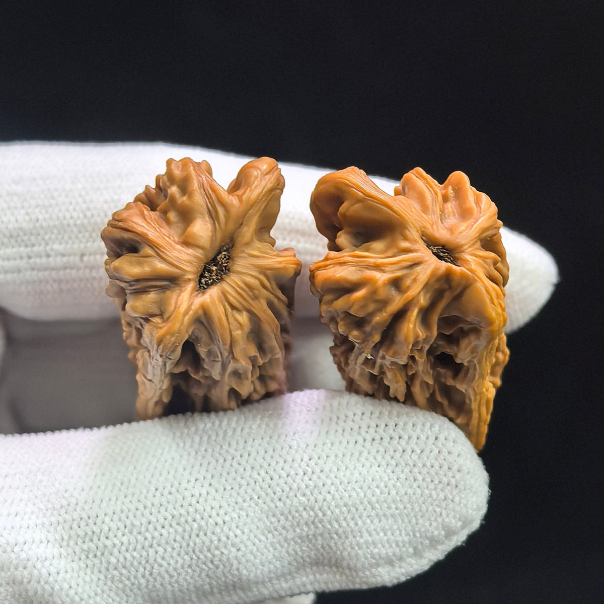 Penguin Gold Bar (Qi’e Jintiao) Scholar Walnut Pair — 22.0mm x 21.0mm | QEJT-CG243E - ThePatinaProject