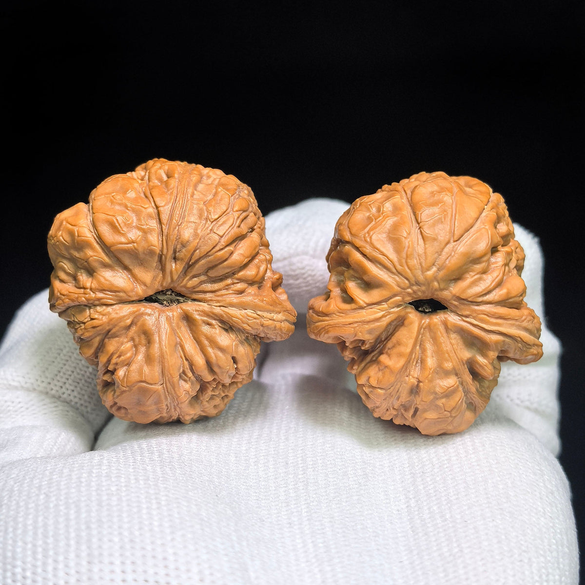 "Ping Gu Yuan Bao Wu Gui Bei / Ingot Turtle Back" Heirloom Collection Wenwan Walnuts Pair | 37.0mm x 41.0mm | PGYB-C1C9E - ThePatinaProject