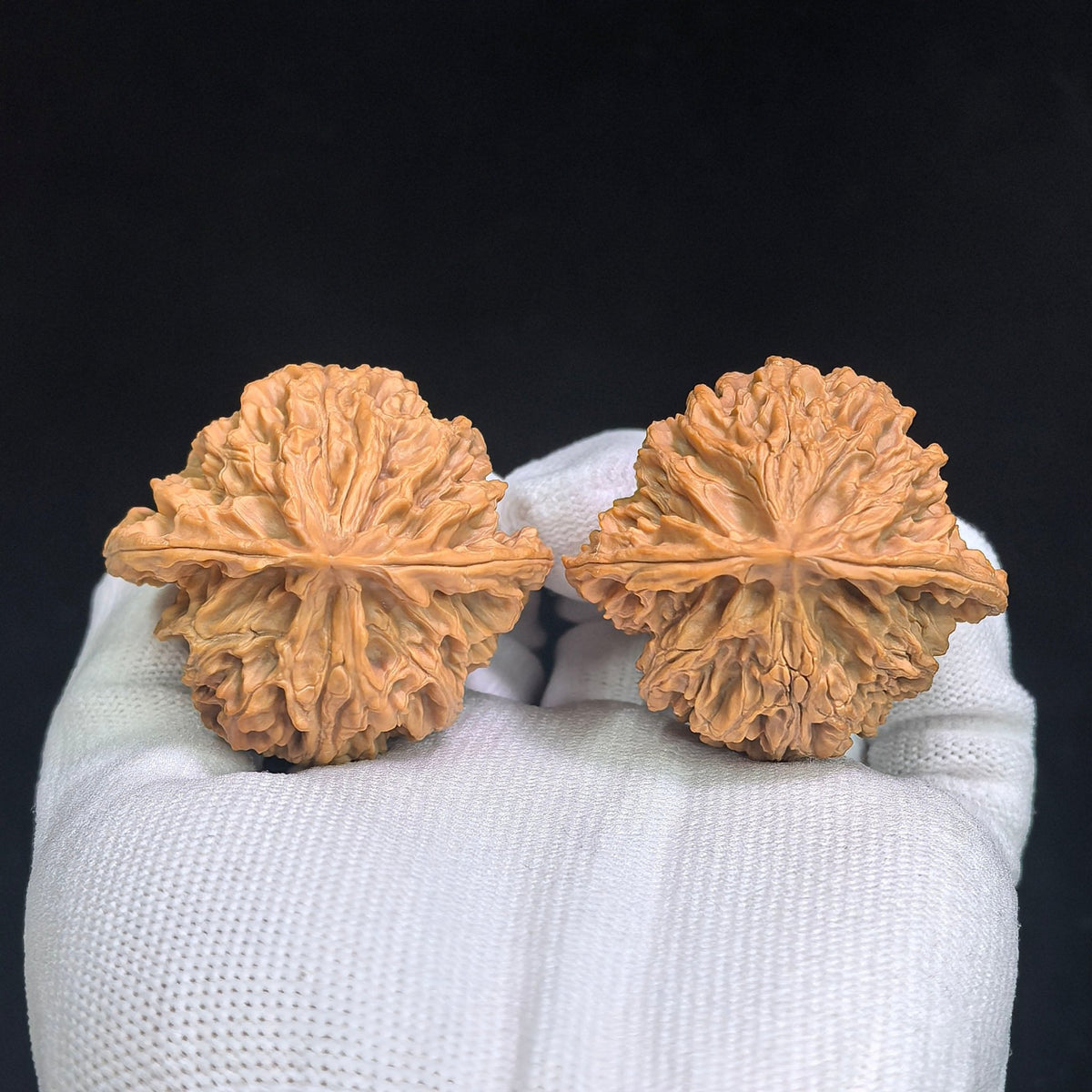 "Ping Guo Yuan / Apple Orchard" Heirloom Collection Wenwan Walnuts Pair | 45.0mm x 41.0mm | PGY-1201C - ThePatinaProject