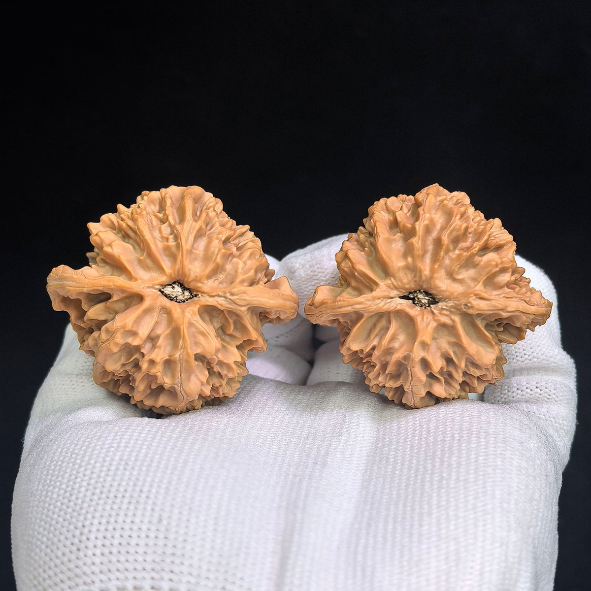 "Ping Guo Yuan / Apple Orchard" Heirloom Collection Wenwan Walnuts Pair | 45.0mm x 41.0mm | PGY-1201C - ThePatinaProject