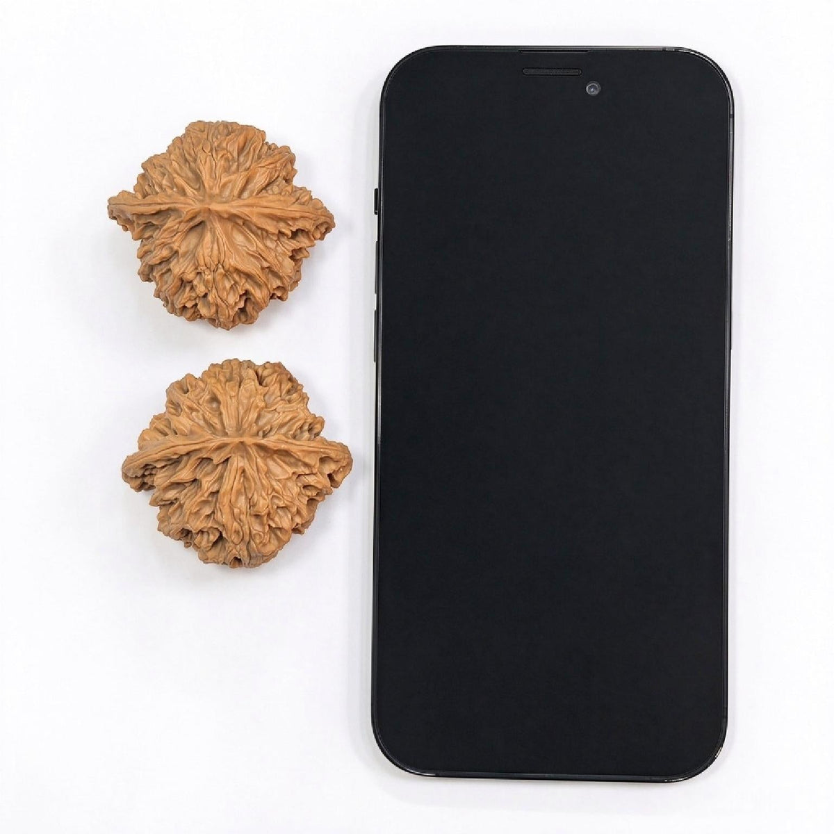 "Ping Guo Yuan / Apple Orchard" Heirloom Collection Wenwan Walnuts Pair | 45.0mm x 41.0mm | PGY-1201C - ThePatinaProject