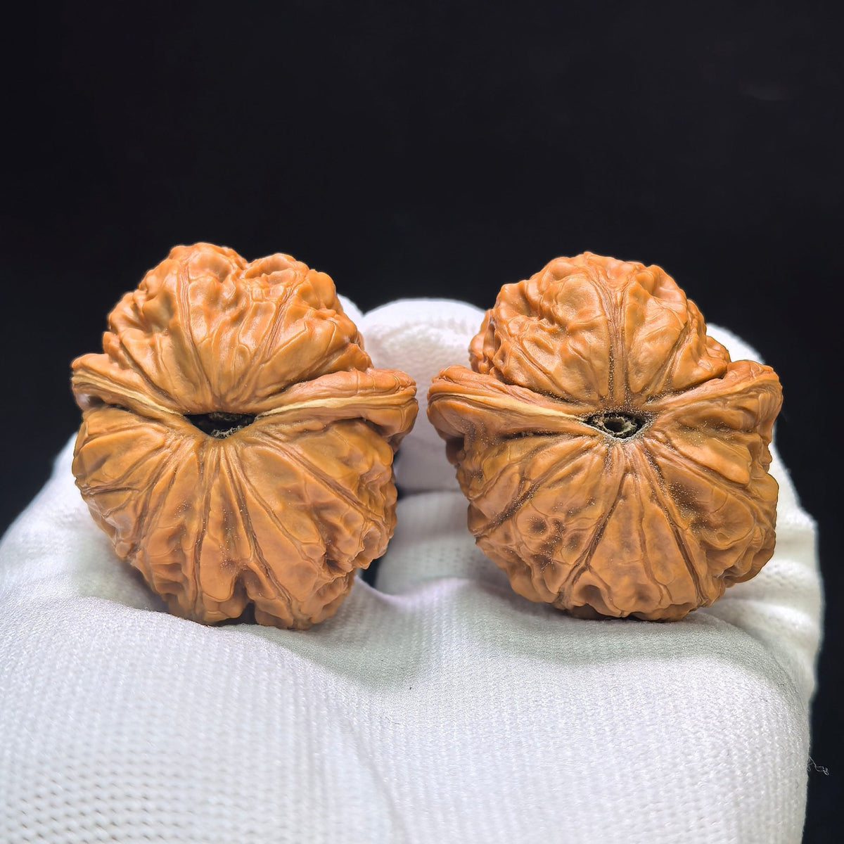 "Pinggu Ingot Clairvoyant Ear" Pinggu Yuanbao Shunfenge Wenwan Walnuts Pair | 39.0mm x 44.0mm | PGYBSFE-CG214E - ThePatinaProject