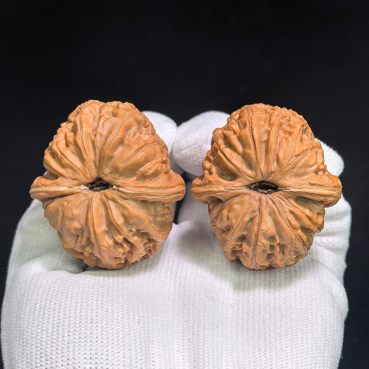 "Pinggu Yuanbao / Ping Gu Yuan Bao" Heirloom Collection Wenwan Walnuts Pair | 41.0mm x 46.0mm | PGYB-1001 - ThePatinaProject