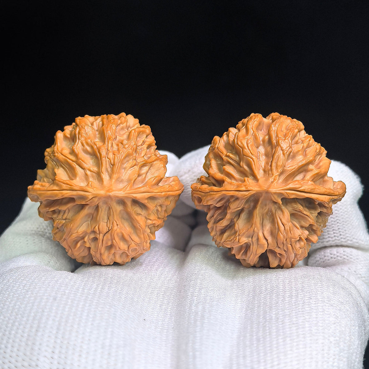 Pingguoyuan Tiancanjiao Wenwan Walnuts Pair | Compact Broad-Bodied Irregular Form | 38.0mm × 39.0mm | PGY-1401E - ThePatinaProject