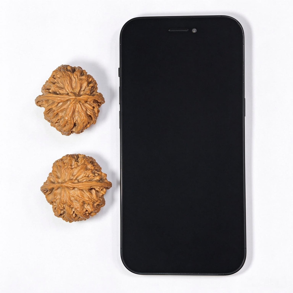 Pingguoyuan Tiancanjiao Wenwan Walnuts Pair | Compact Broad-Bodied Irregular Form | 38.0mm × 39.0mm | PGY-1401E - ThePatinaProject