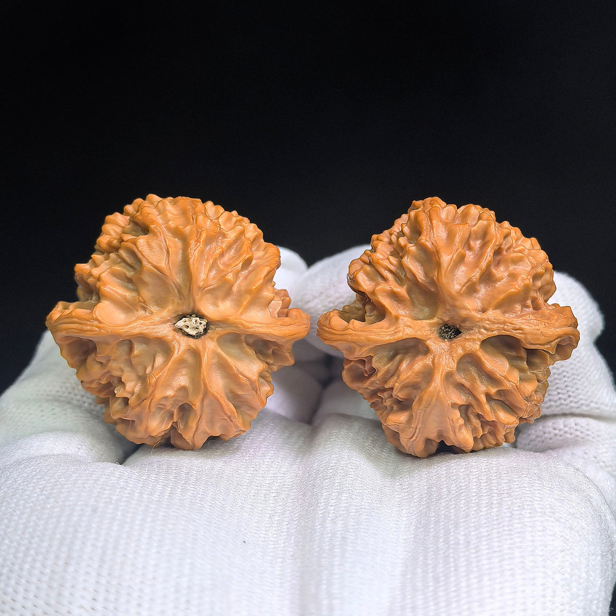 Pingguoyuan Tiancanjiao Wenwan Walnuts Pair | Compact Broad-Bodied Irregular Form | 38.0mm × 39.0mm | PGY-1401E - ThePatinaProject