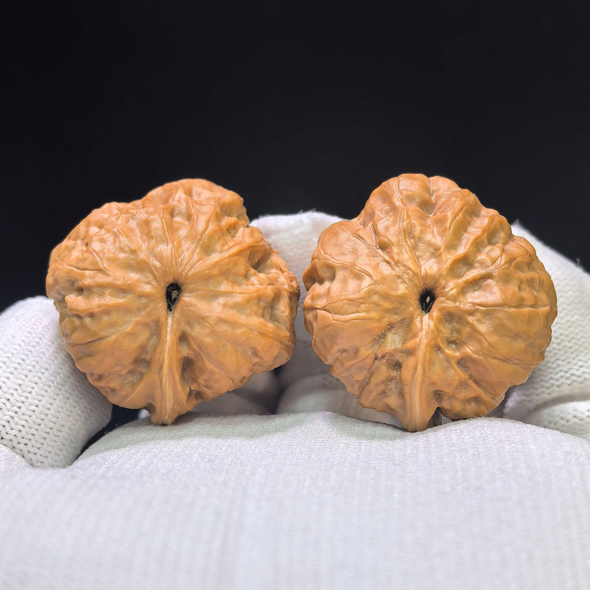 "Pocket Crystal Frog Eagle Beak Smooth Sailing" Sjwyzyf-CG206E Wenwan Walnuts Pair | 35.0mm x 33.0mm | SJWYZYF-CG206E - ThePatinaProject