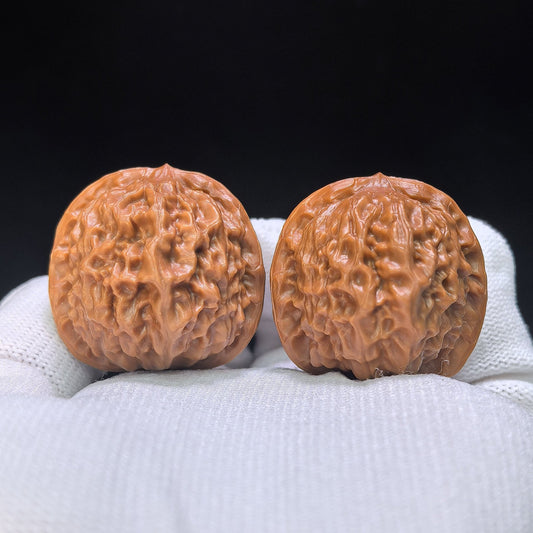"Pocket Porcelain Doll" Miniature Ciwawa Wenwan Walnuts (Pair) | 34.0mm x 35.0mm | Stock ID: CWW-1506C - ThePatinaProject