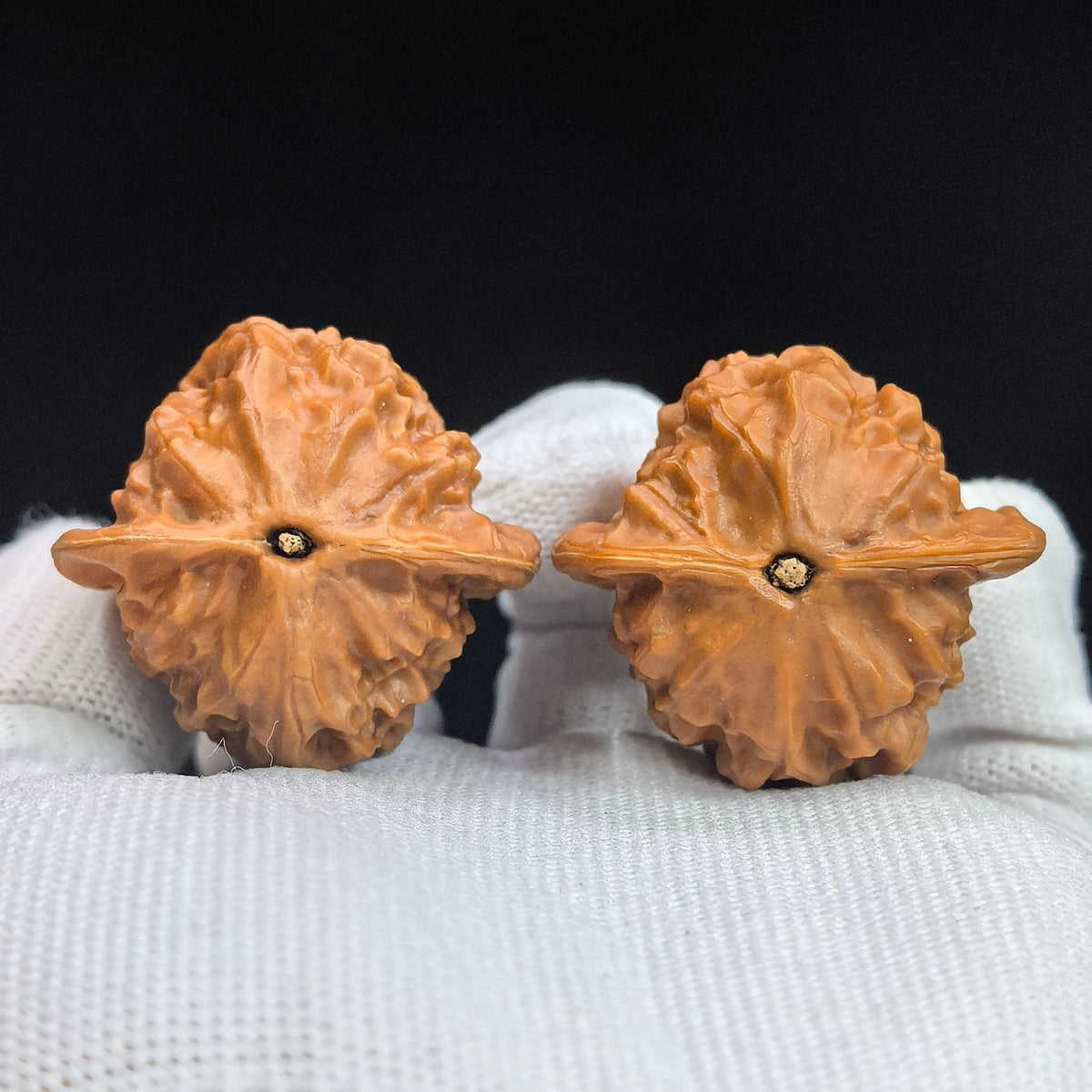 Porcelain Doll × Chengde Official Seal Wenwan Walnut Pair — 37.0mm x 35.0mm | CWWXCDGY-17A6C - ThePatinaProject