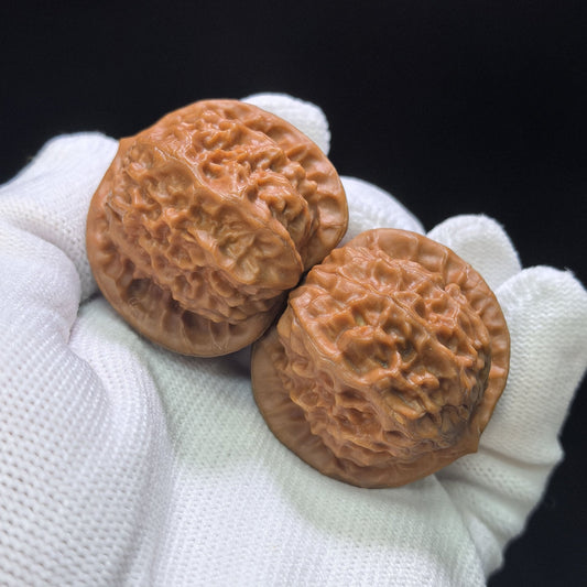 "Porcelain Doll" Ciwawa Wenwan Walnuts Pair | 37.0mm x 37.0mm | CWW-1503C - ThePatinaProject