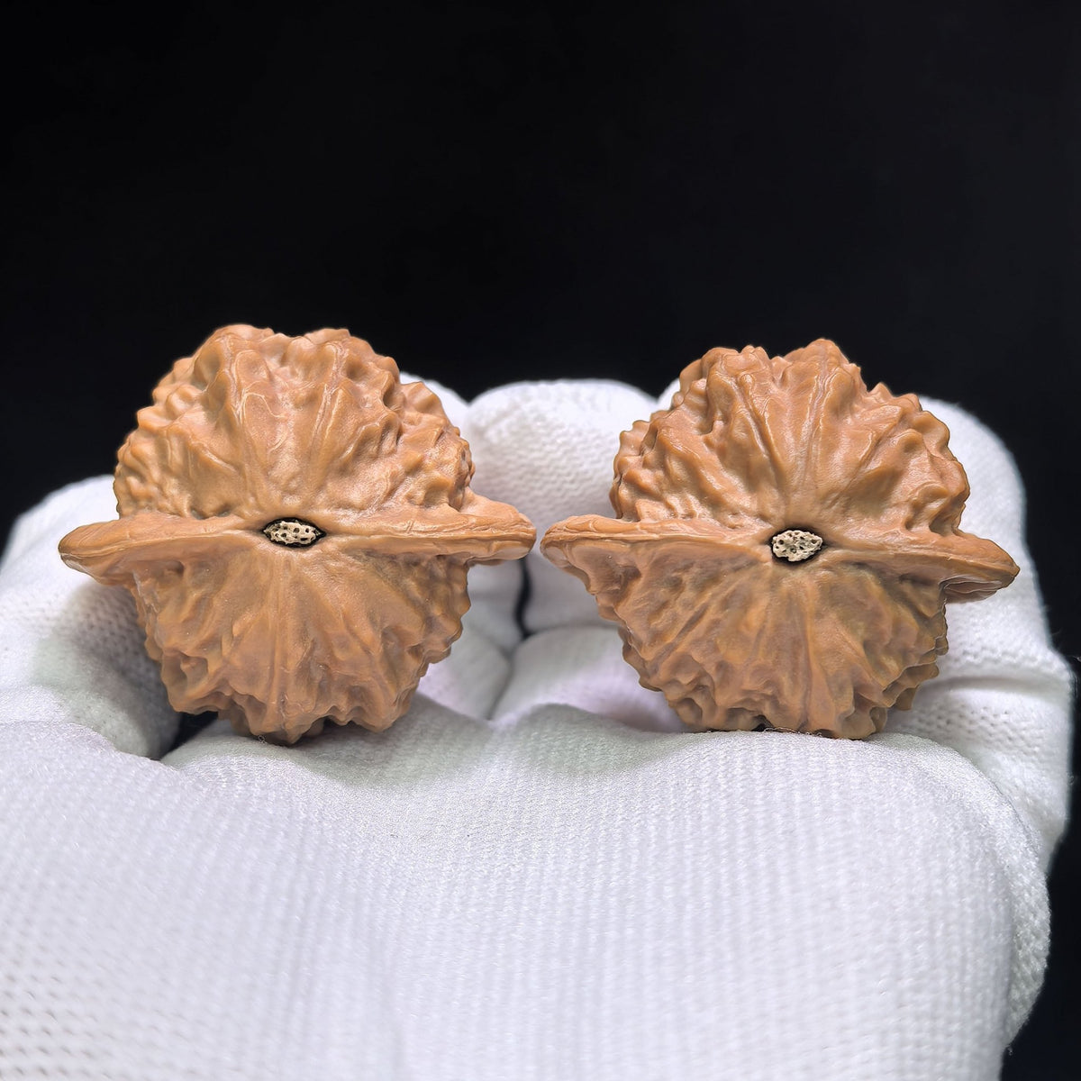 "Porcelain Doll" Ciwawa Wenwan Walnuts Pair | 39.0mm x 36.0mm | CWW-1502C - ThePatinaProject