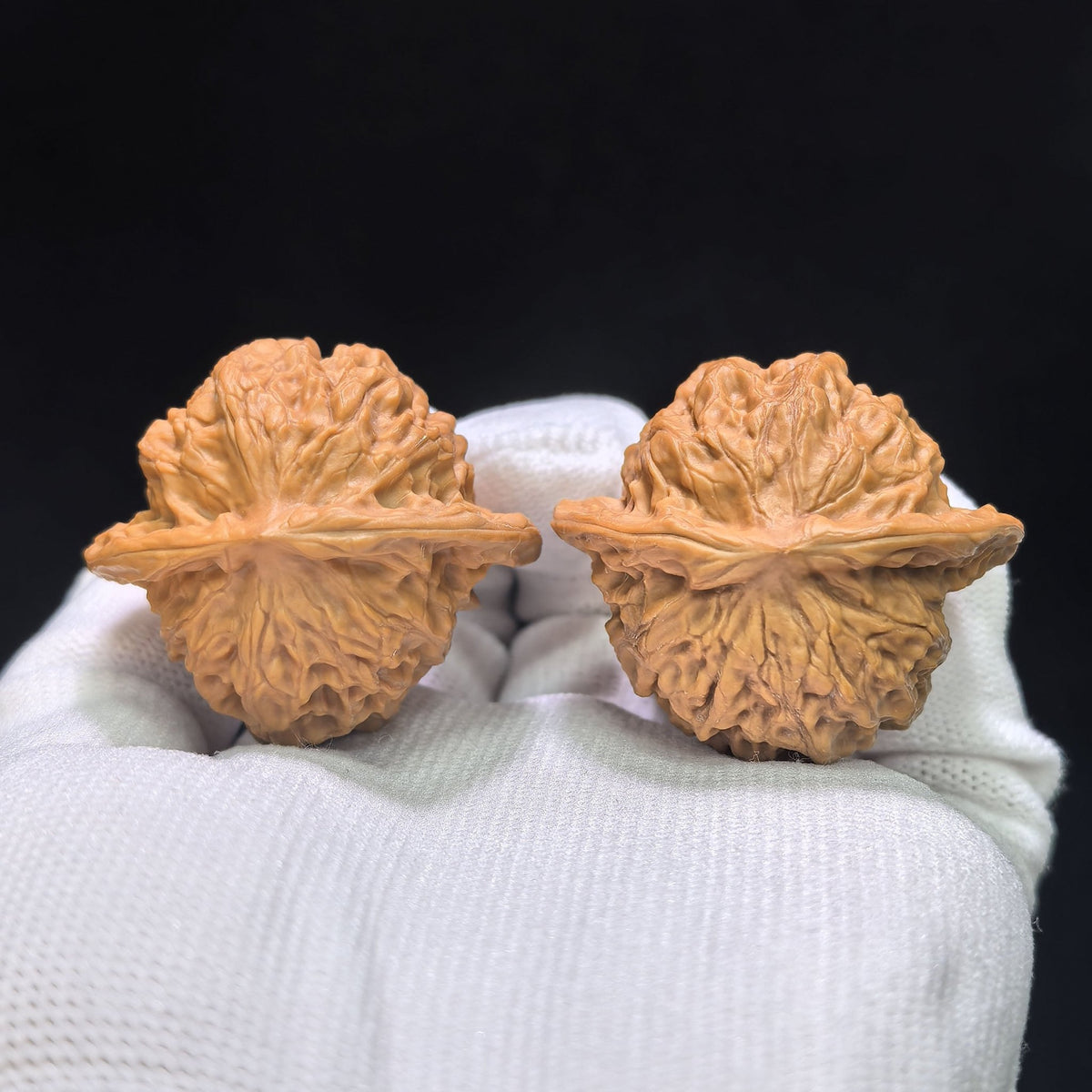 "Porcelain Doll" Ciwawa Wenwan Walnuts (Pair) | 41.0mm x 37.0mm | Stock ID: CWW-1505C - ThePatinaProject