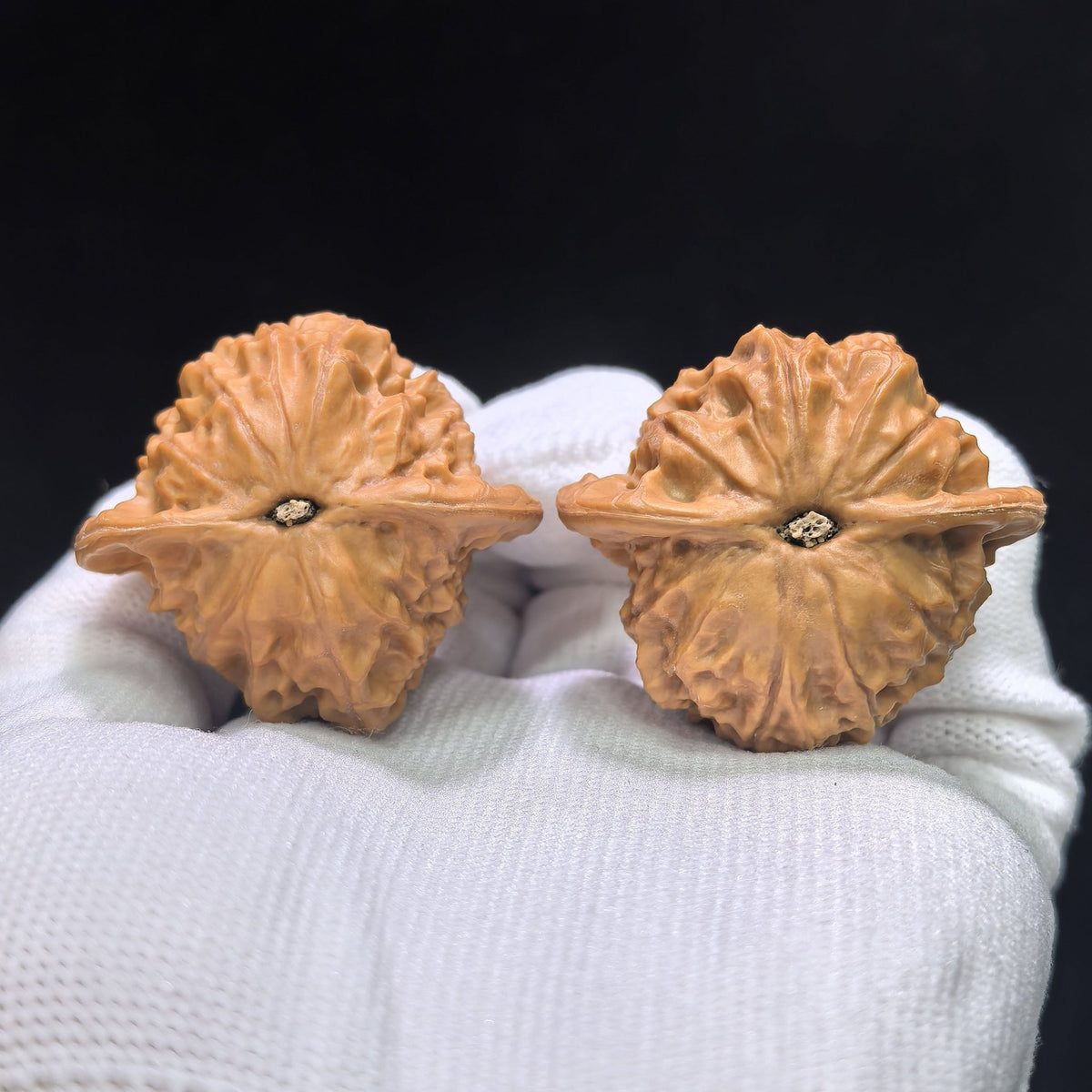 "Porcelain Doll" Ciwawa Wenwan Walnuts (Pair) | 41.0mm x 37.0mm | Stock ID: CWW-1505C - ThePatinaProject