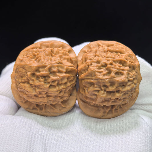 "Porcelain Doll" Ciwawa Wenwan Walnuts (Pair) | 41.0mm x 37.0mm | Stock ID: CWW-1505C - ThePatinaProject
