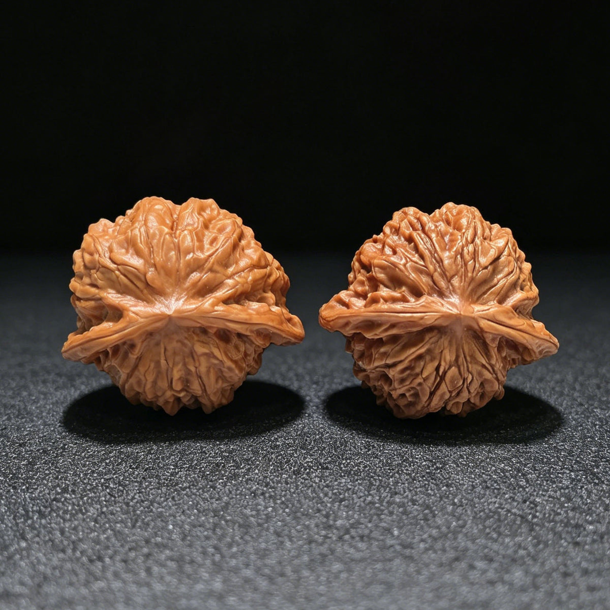 "Porcelain Doll Turtle Back" Cwwwgb-CG211E Wenwan Walnuts Pair | 40.0mm x 37.0mm | CWWWGB-CG211E - ThePatinaProject
