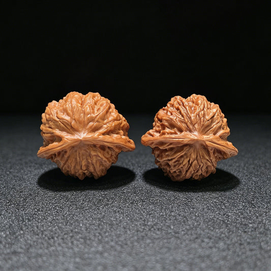 "Porcelain Doll Turtle Back" Cwwwgb-CG211E Wenwan Walnuts Pair | 40.0mm x 37.0mm | CWWWGB-CG211E - ThePatinaProject