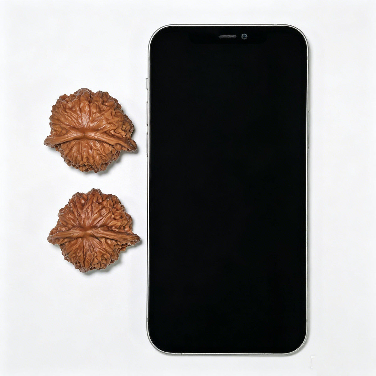 "Porcelain Doll Turtle Back" Cwwwgb-CG211E Wenwan Walnuts Pair | 40.0mm x 37.0mm | CWWWGB-CG211E - ThePatinaProject