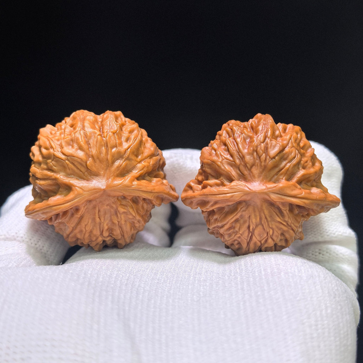 "Porcelain Doll Turtle Back" Cwwwgb-CG211E Wenwan Walnuts Pair | 40.0mm x 37.0mm | CWWWGB-CG211E - ThePatinaProject