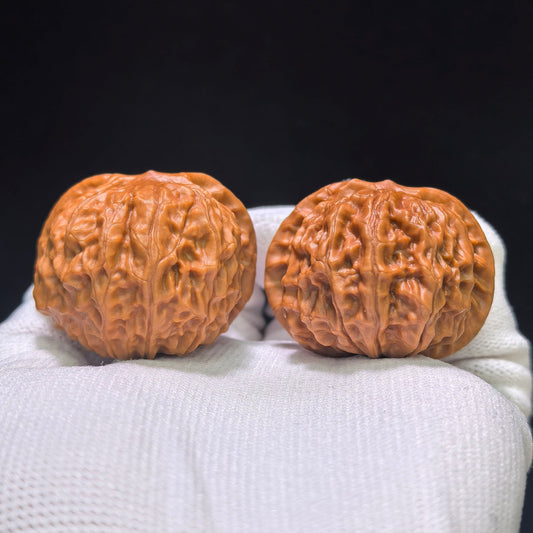 "Porcelain Doll Turtle Back" Cwwwgb-CG211E Wenwan Walnuts Pair | 40.0mm x 37.0mm | CWWWGB-CG211E - ThePatinaProject