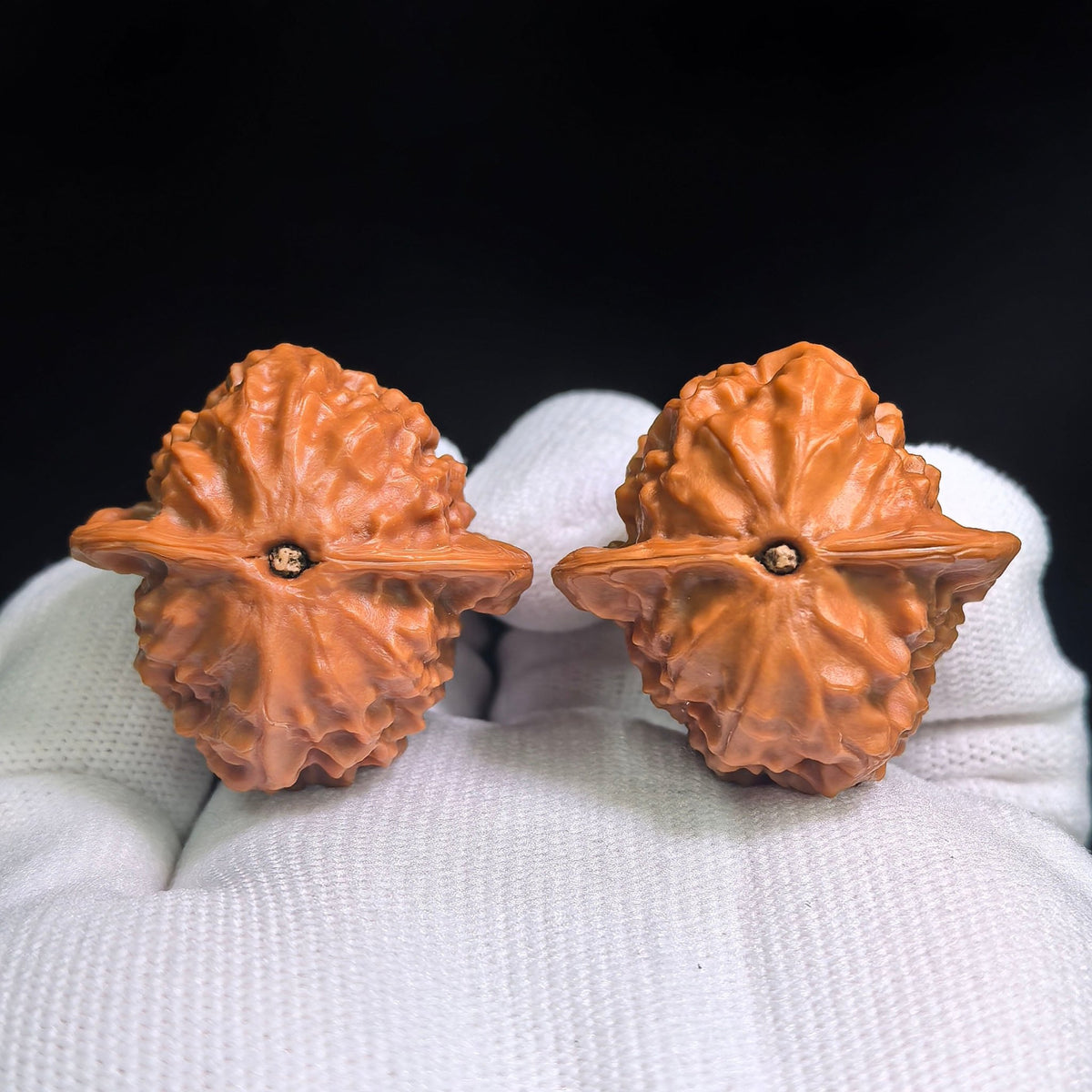 "Porcelain Doll x Chengde Official Seal" Ciwawawa CWW-802C Heirloom Wenwan Walnuts Pair | 35.0mm x 35.0mm | CWW-802C - ThePatinaProject