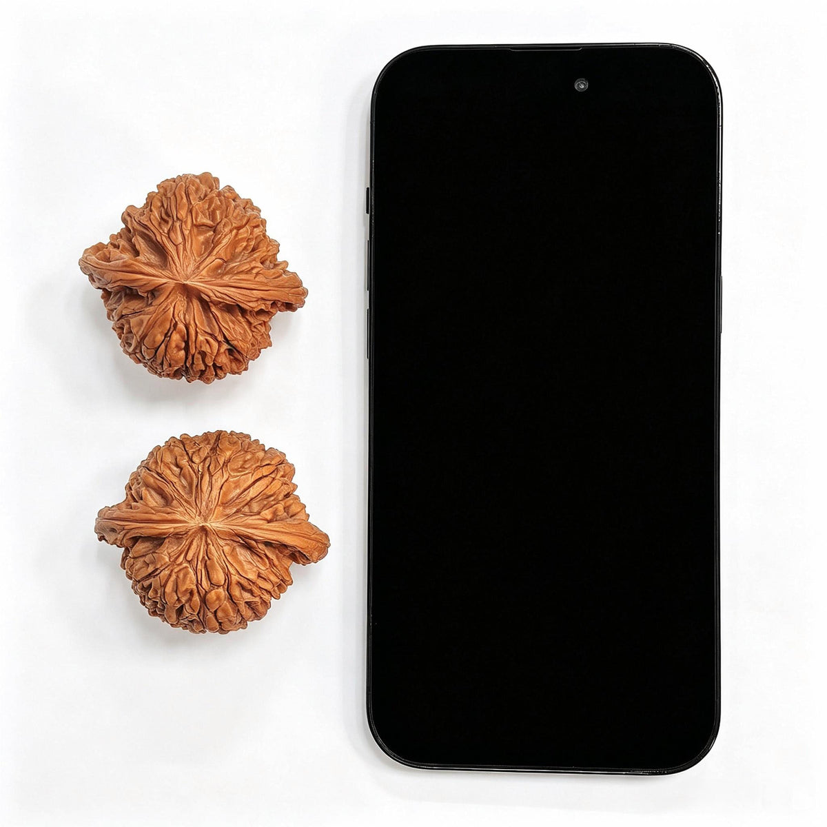 Precision-Matched Classic Millstone (Mopan) Scholar Walnut Pair — 46.0mm x 42.0mm | MP-CWB0E - ThePatinaProject