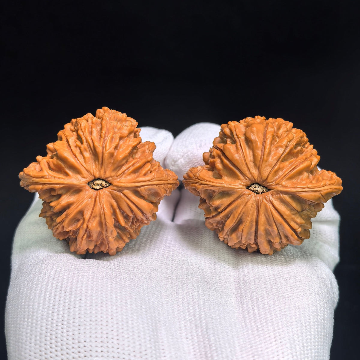 Precision-Matched Classic Millstone (Mopan) Scholar Walnut Pair — 46.0mm x 42.0mm | MP-CWB0E - ThePatinaProject