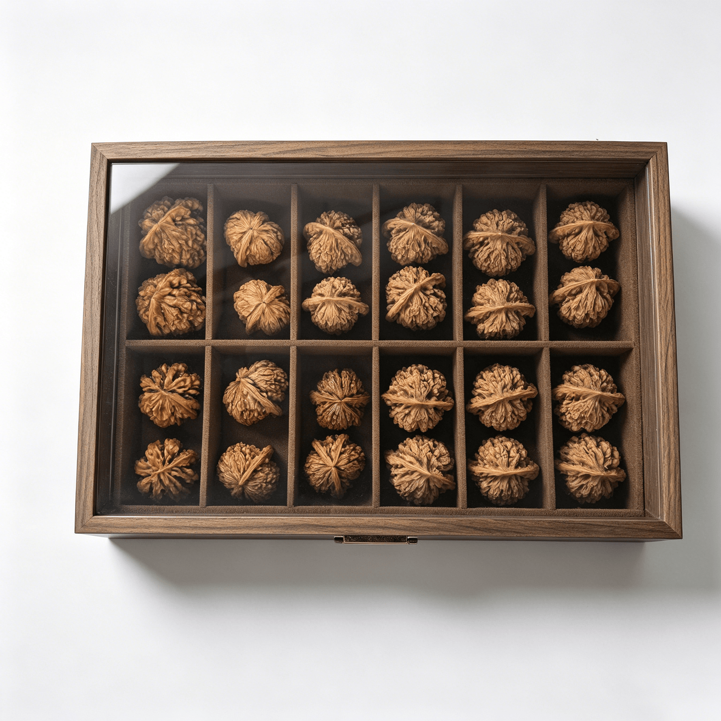 Premium 12-Compartment Wenwan Walnut Collection Storage Box | Wooden Display Case for Scholar Walnuts & Patina Treasures | [US Domestic Shipping Only] - ThePatinaProject
