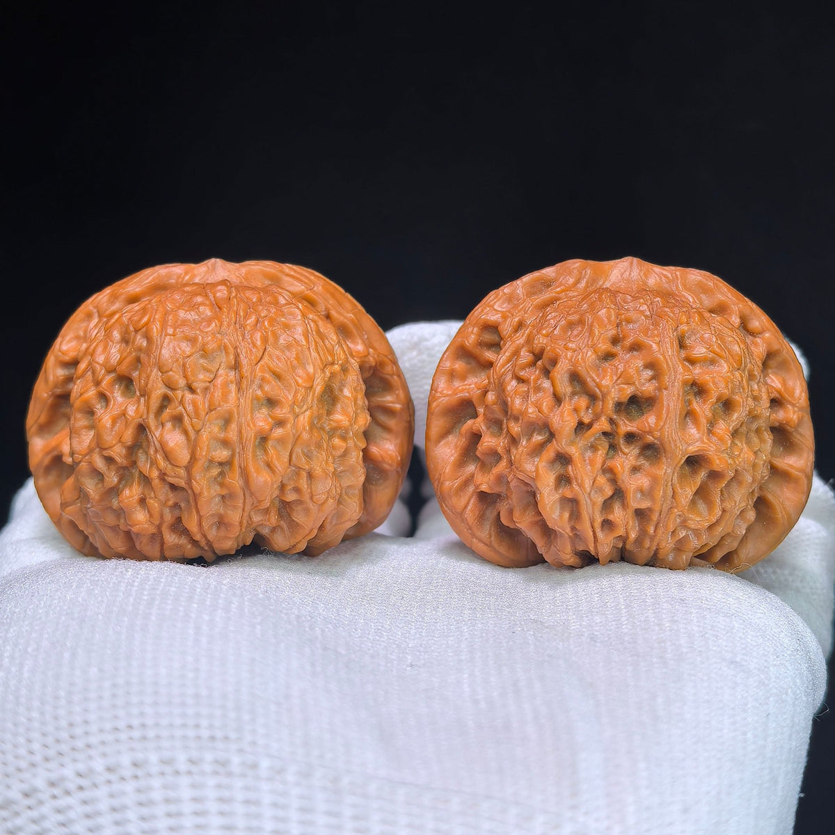 Premium Xue Qi Lin Wenwan Walnuts 45x42mm - Pair XQL-1301C - Blood Kylin Lion Head Hand Exerciser - Heavy Scale Texture Fidget Toy - ThePatinaProject