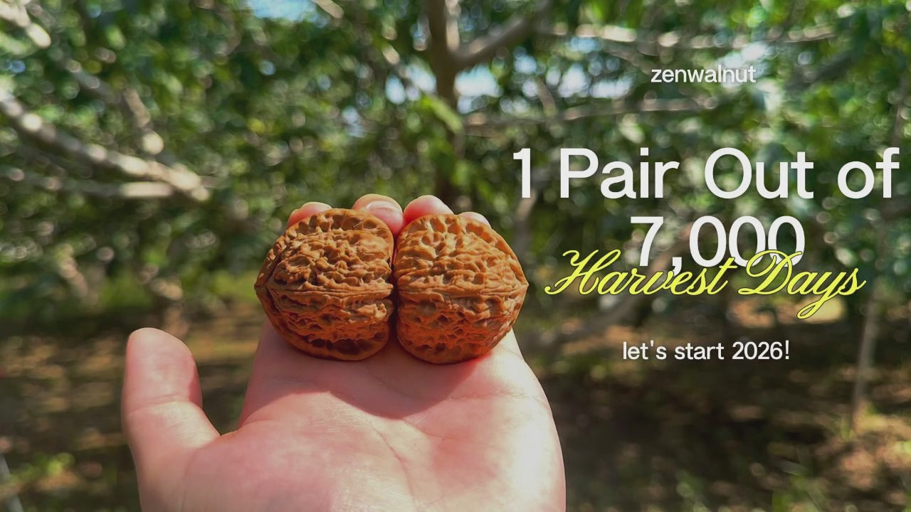 Load video: 2026 Harvest