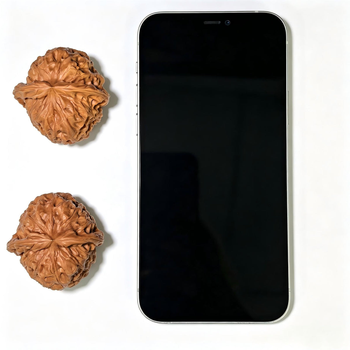 "Pumpkin Dun / Nan Gua Dun" Heirloom Collection Wenwan Walnuts Pair | 43.0mm x 44.0mm | NGD-1111 - ThePatinaProject