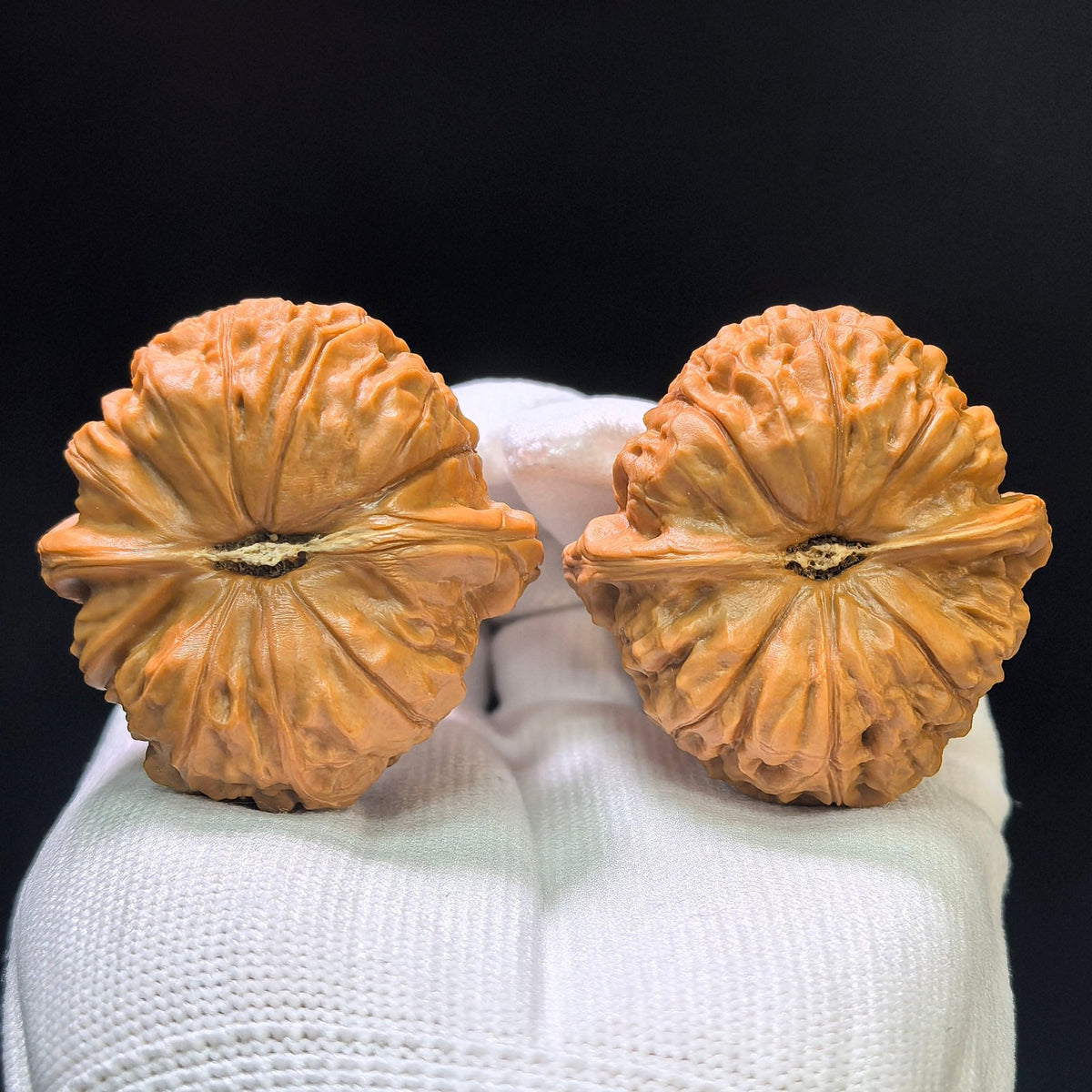 "Pumpkin Dun / Nan Gua Dun" Heirloom Collection Wenwan Walnuts Pair | 43.0mm x 44.0mm | NGD-1111 - ThePatinaProject